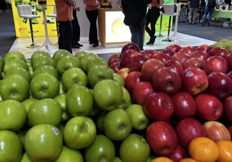 Photo of a display of red and green apples and orange mandarins, demonstrating the importance of using colour theory in social media posts